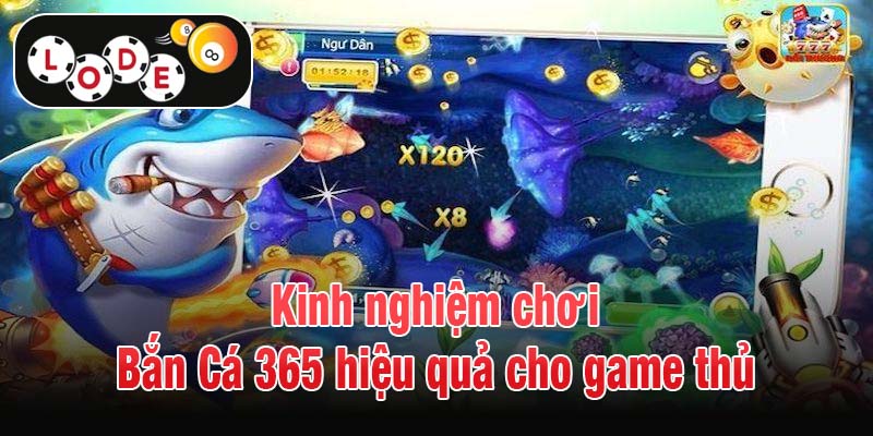 Kinh nghiệm chơi Bắn Cá 365 hiệu quả cho game thủ