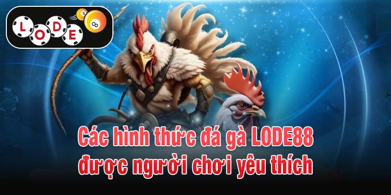 Các hình thức đá gà LODE88 được người chơi yêu thích