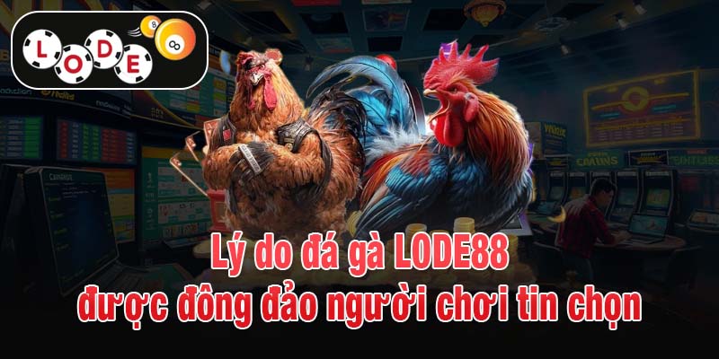 Lý do đá gà LODE88 được đông đảo người chơi tin chọn